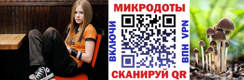 Псилоцибиновые грибы Psilocybine cubensis  купить наркотики цена  Черногорск 